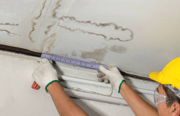 Reliable Basement Water Removal contractor in Woodward, IA by Water Damage Irwin